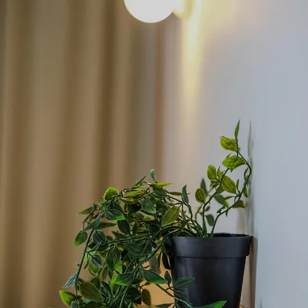 Take Me Here With A Sea View By Salt * Vólos