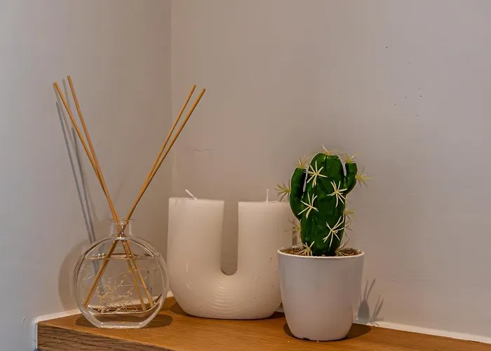 Take Me Here With A Sea View By Salt Wolos